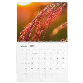 Makroökologische Foto Kalender (Feb 2027)
