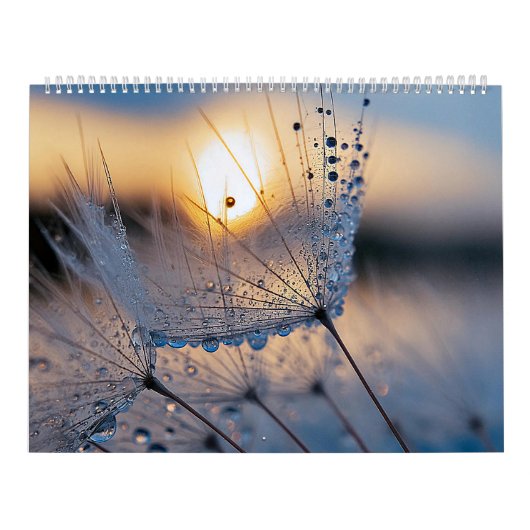 Makroökologische Foto Kalender (Titelbild)