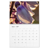 Makroökologische Foto Kalender (Mär 2027)