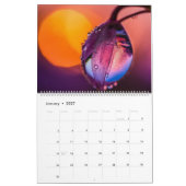 Makroökologische Foto Kalender (Jan 2027)