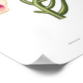 Makrophylla Poster (Ecke)