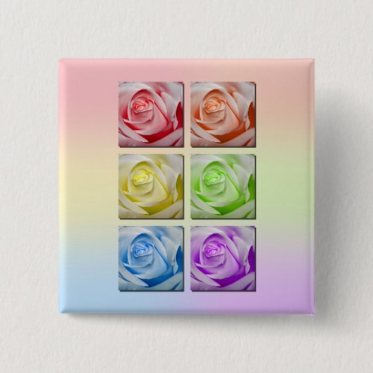 Makroregenbogen-Rosen Button (Vorderseite)