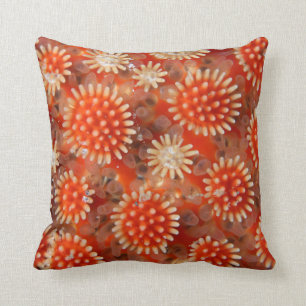 Makroseestern Kissen