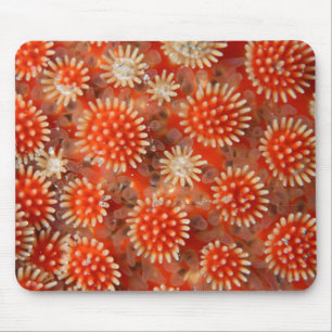 Makroseestern Mousepad