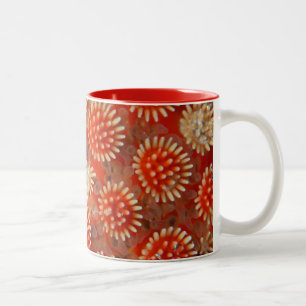 Makroseestern Zweifarbige Tasse