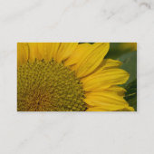 Makrosonnenblume mit Regentropfen Visitenkarte (Rückseite)