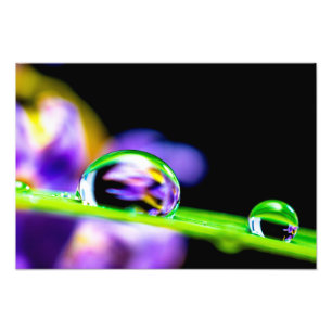 Makrotropfen des Wassers auf Blatt-Gras-lila Blume Fotodruck