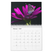 Makrowelt 2022 kalender (Feb 2027)