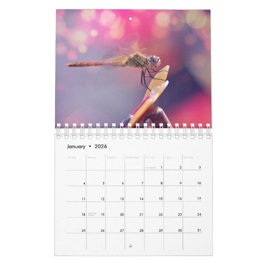 Makrowelt 2022 kalender (Jan 2026)