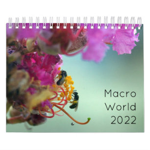 Makrowelt 2022 kalender