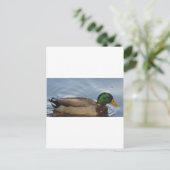 Mal III Postkarte (Stehend Vorderseite)