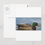 Mal III Postkarte (Vorne/Hinten)