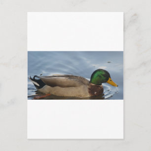 Mal III Postkarte