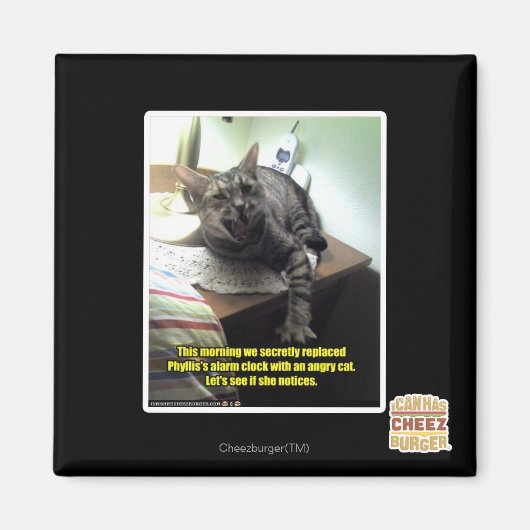 Mal sehen, ob sie es bemerkt. magnet (Vorne)