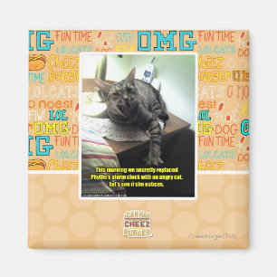 Mal sehen, ob sie es bemerkt. magnet