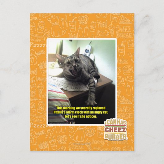 Mal sehen, ob sie es bemerkt. postkarte (Vorderseite)