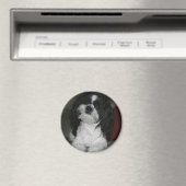 Mal-Shi Magnet (In Situ (Geschirrspüler))