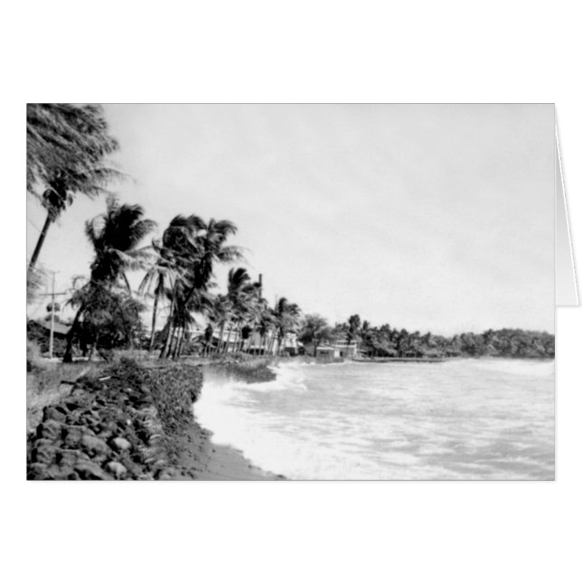 Mala Beach Lahaina Maui Hawaii (Vorderseite (Horizontal))
