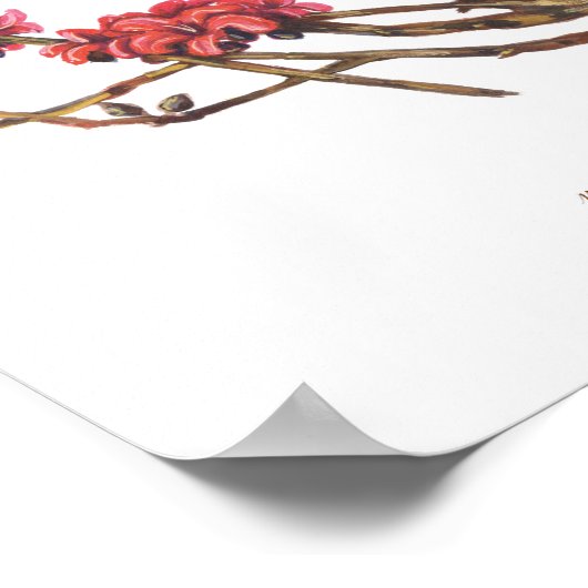 Malabulak (Bombax ceiba) Philippinische Waldblüten Poster (Ecke)