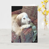 MALACHI heARTdog Whoodle Karte (Gelbe Blume)