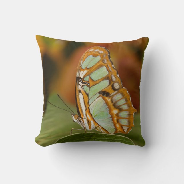 Malachit auf Blättern Kissen (Vorderseite)