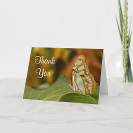 Malachit-Schmetterling danken Ihnen zu kardieren Dankeskarte