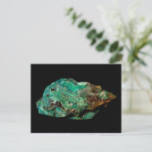 Malachite auf der schwarzen Hintergrundepostkarte Postkarte (Stehend Vorderseite)