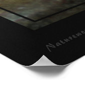 Malachite Butterflies 1 Poster -60x40 - oder klein (Ecke)