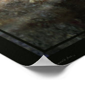 Malachite Butterflies 1 Print -24x20 - oder kleine Poster (Ecke)