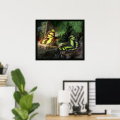 Malachite Butterflies 1 Print -24x20 - oder kleine Poster (Heimbüro)