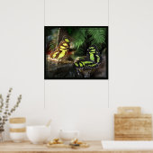 Malachite Butterflies 1 Print -24x20 - oder kleine Poster (Küche)