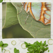 Malachite Butterfly auf einem Blatt Geschirrtuch (Gefaltet)