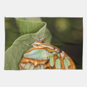 Malachite Butterfly auf einem Blatt Geschirrtuch (Horizontal)