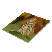Malachite Butterfly Fliese (Seite)