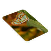 Malachite Butterfly Magnet (Rechte Seite)