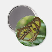 Malachite Butterfly Round Magnet (Vorderseite/Rückseite)