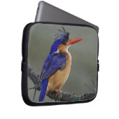 Malachite Kingfisher, Alcedo cristata, Lake Laptopschutzhülle (Vorne Rechts)