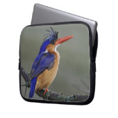 Malachite Kingfisher, Alcedo cristata, Lake Laptopschutzhülle (Vorderseite Links)