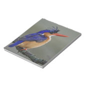 Malachite Kingfisher, Alcedo cristata, Lake Notizblock (Rotiert)