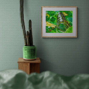 Malachite-Schmetterling auf grünem Blatt Fotodruck