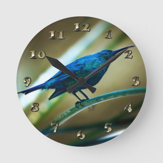 Malachite Sunbird Perched Closeup Runde Wanduhr (Vorderseite)