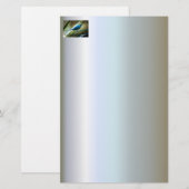 Malachite Sunbird schließt Briefpapier (Vorne/Hinten)