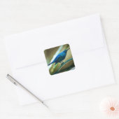 Malachite Sunbird schließt Quadratischer Aufkleber (Umschlag)