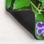 Malachitenschmetterling auf lila Blume Mousepad (Ecke)