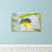 Malachitenschmetterling Leinwanddruck (Insitu (Holzboden))