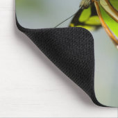 Malachitenschmetterling Mousepad (Ecke)