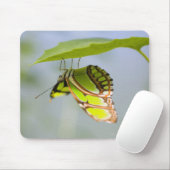Malachitenschmetterling Mousepad (Mit Mouse)