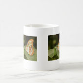 Malachitschmetterling auf einem Blatt Kaffeetasse (Mittel)
