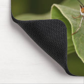 Malachitschmetterling auf einem Blatt Mousepad (Ecke)
