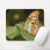 Malachitschmetterling auf einem Blatt Mousepad (Mit Mouse)